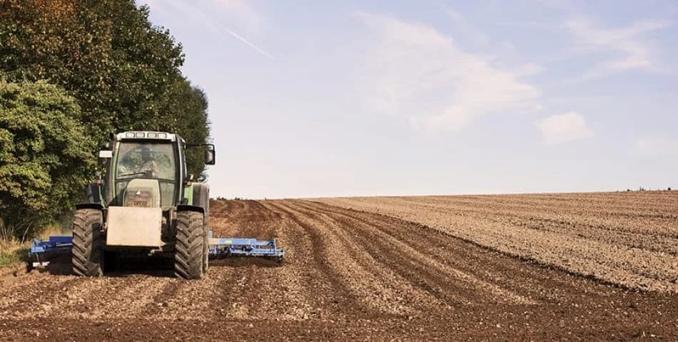 Land Clearing